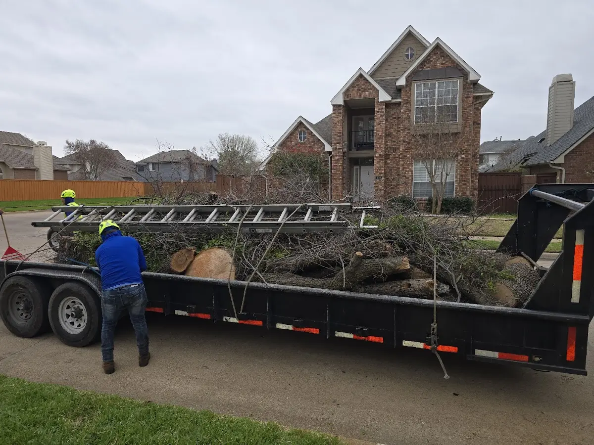 Expert Tree Removal with proper safety equipment in Rantoul